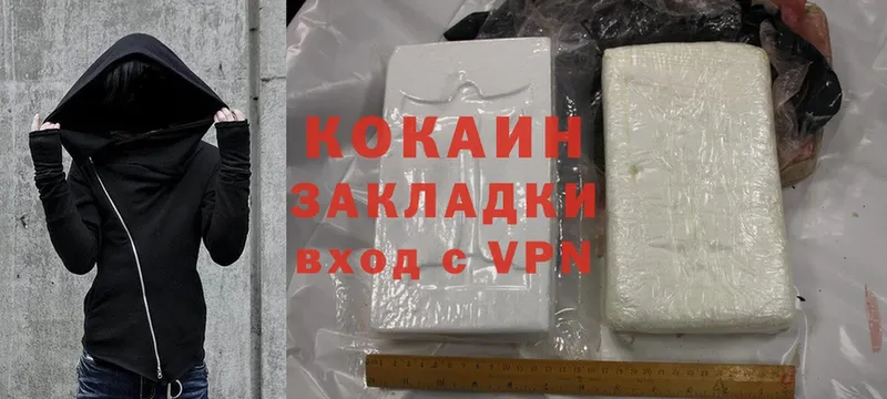 где можно купить наркотик  Бикин  Cocaine FishScale 